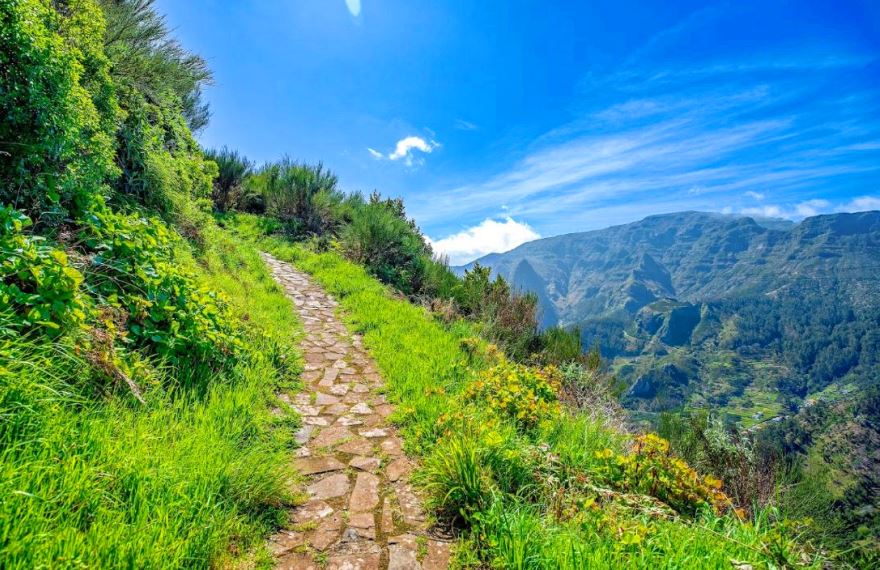 Caminho real da Encumeada- Laurel Forest in Madeira